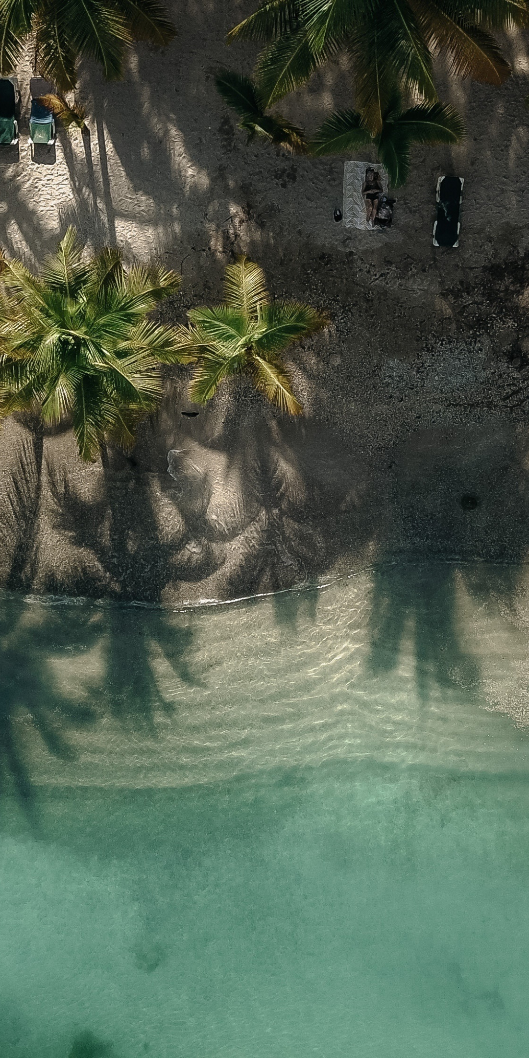 Exotic, beach, palm trees, drone view, 1080x2160 wallpaper