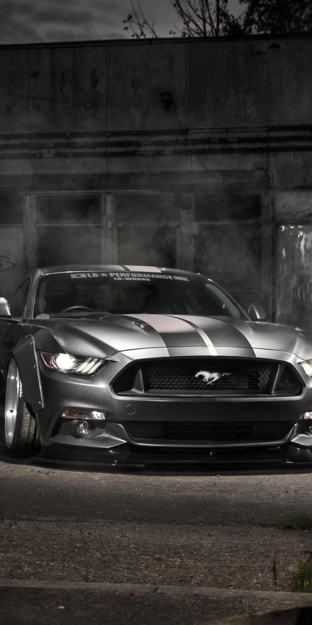 Mustang Ford, silver, muscle car, 1080x2160 wallpaper
