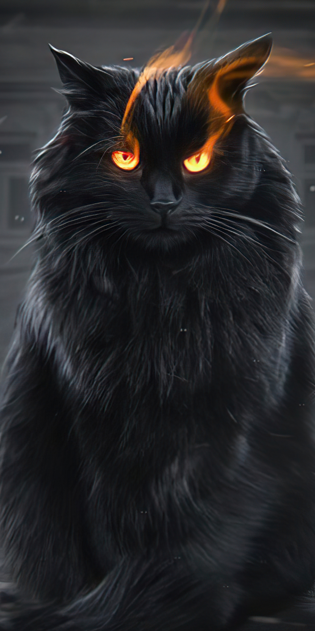 Black cat, fire eyes, fantasy, 1080x2160 wallpaper