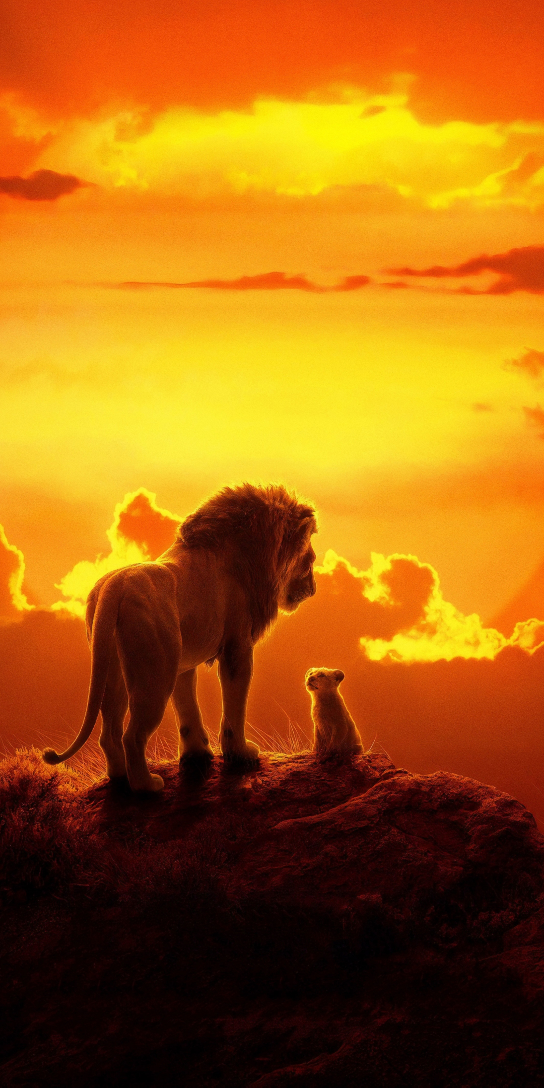 The lion king, lion and cub, 2019 movie, 1080x2160 wallpaper