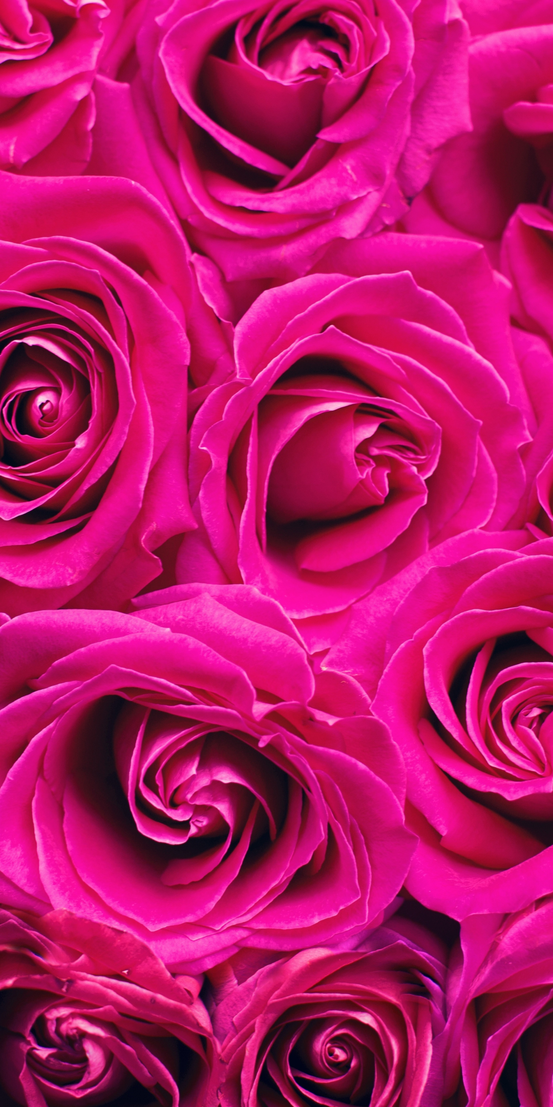 Pink roses, decorations, bouquet, 1080x2160 wallpaper