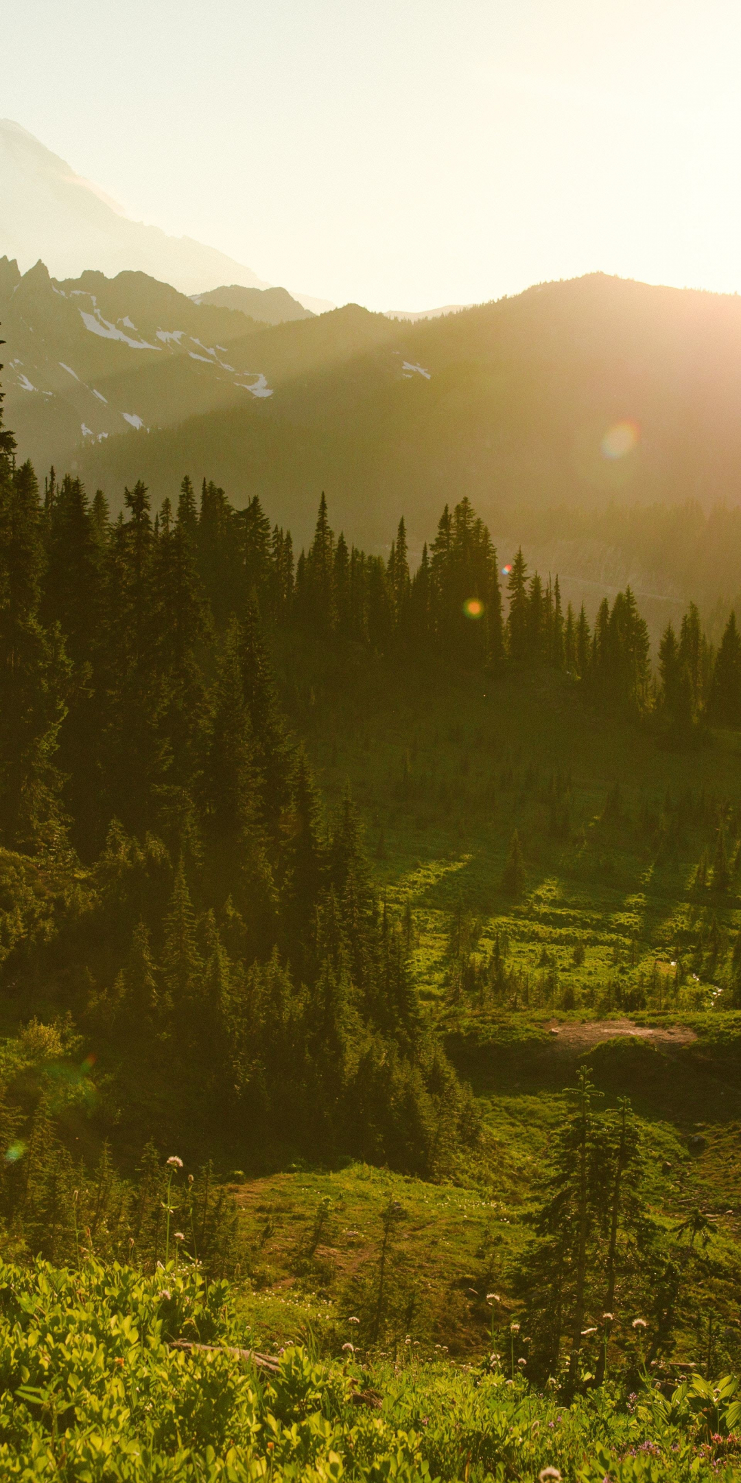 Landscape, lake, green, sunrise, nature, 1080x2160 wallpaper