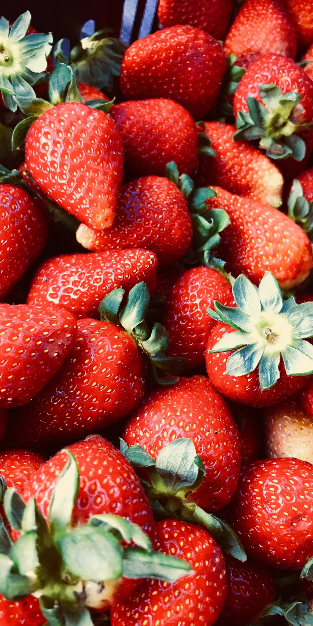 Red fruits, strawberries, fresh, 1080x2160 wallpaper