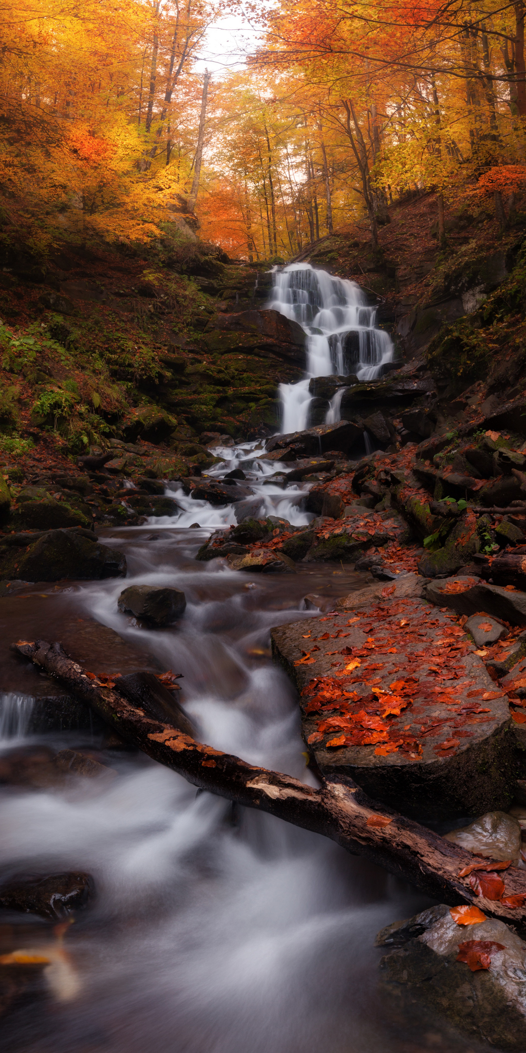Autumn, forest, water current, waterfall, nature, 1080x2160 wallpaper