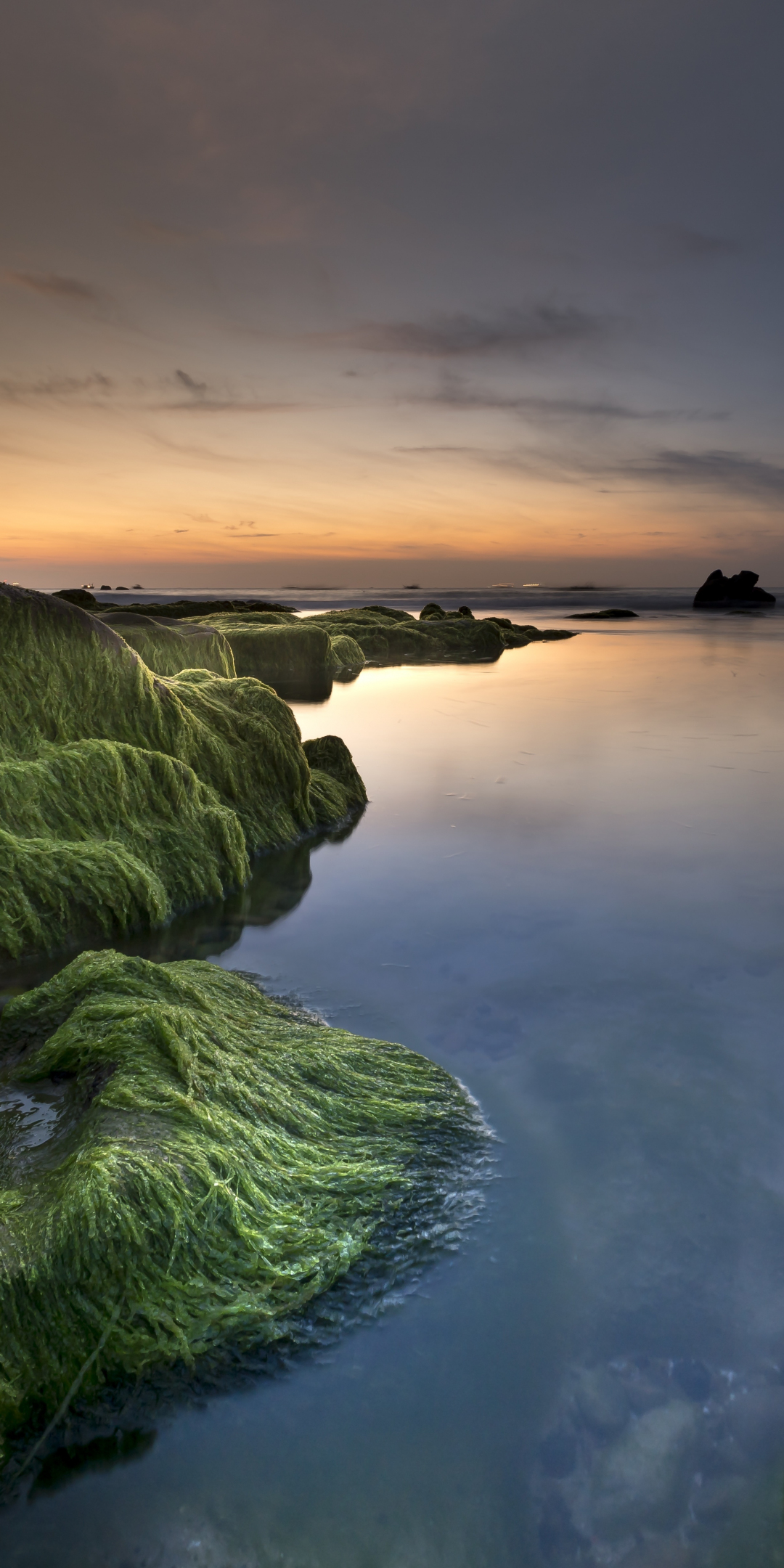 Coast, rocks, moss, nature, sunset, 1080x2160 wallpaper