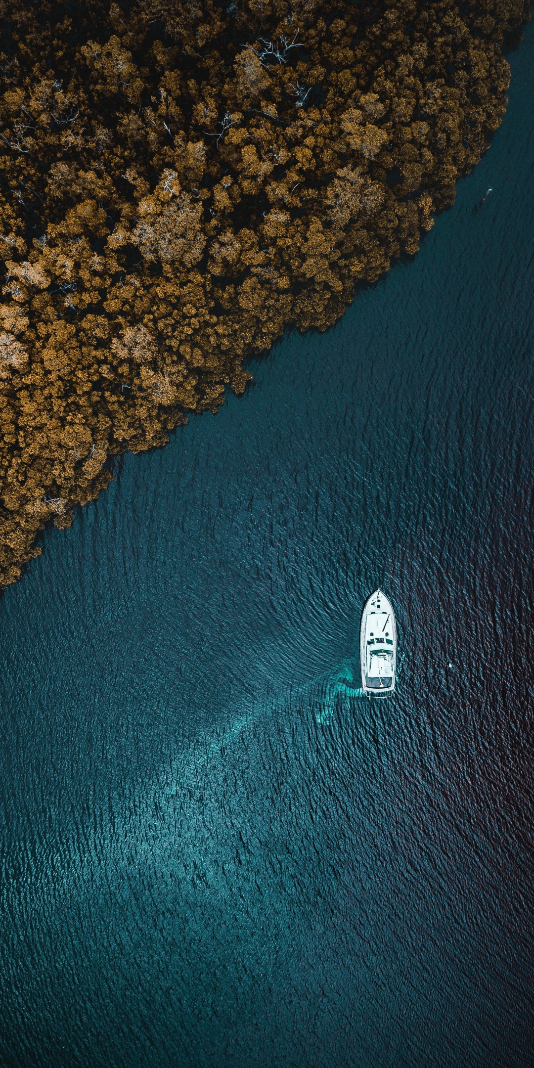 Aerial view, sea, forest, boat, 1080x2160 wallpaper