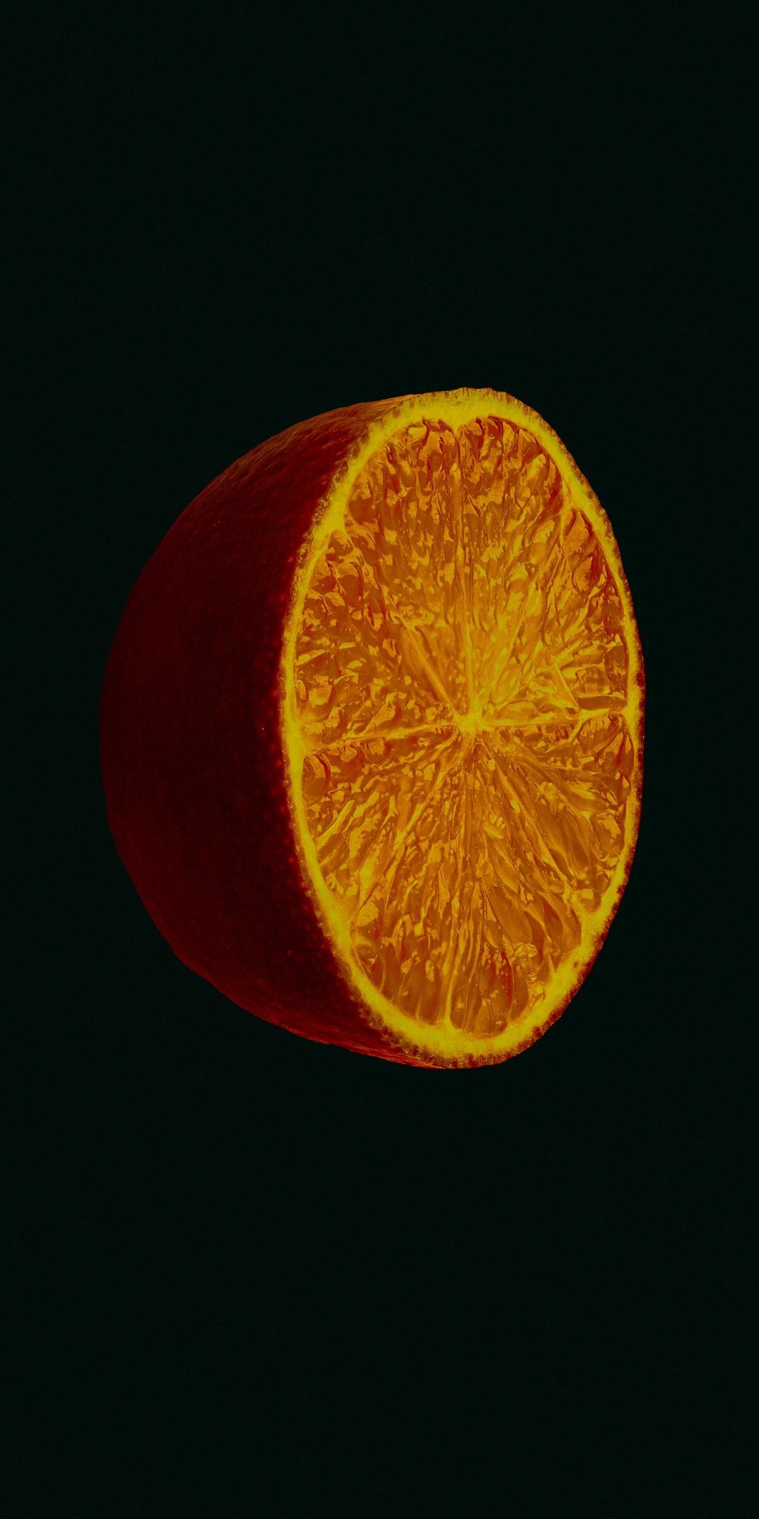 Half orange, fruit, close up, 1080x2160 wallpaper
