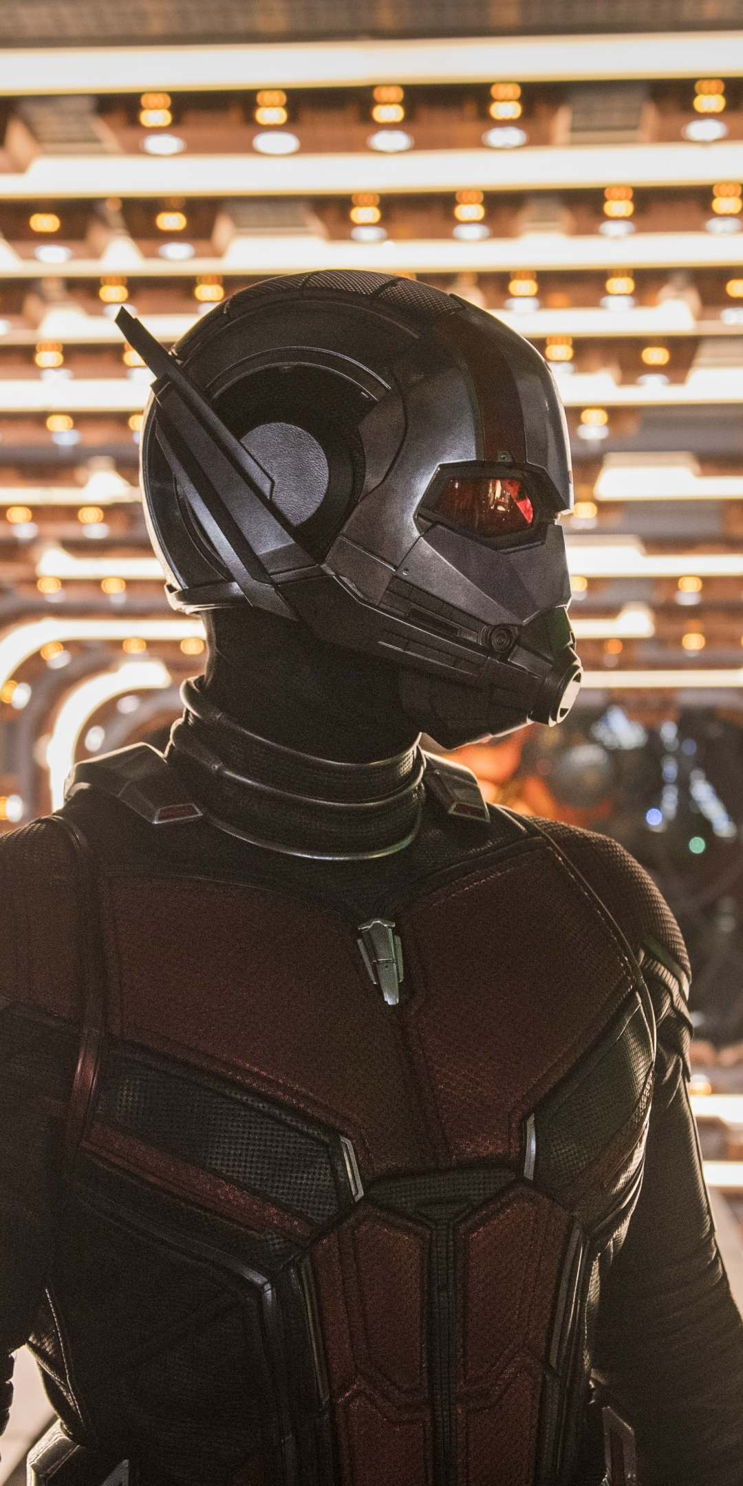 Ant-Man and The Wasp, movie, 2018, 1080x2160 wallpaper