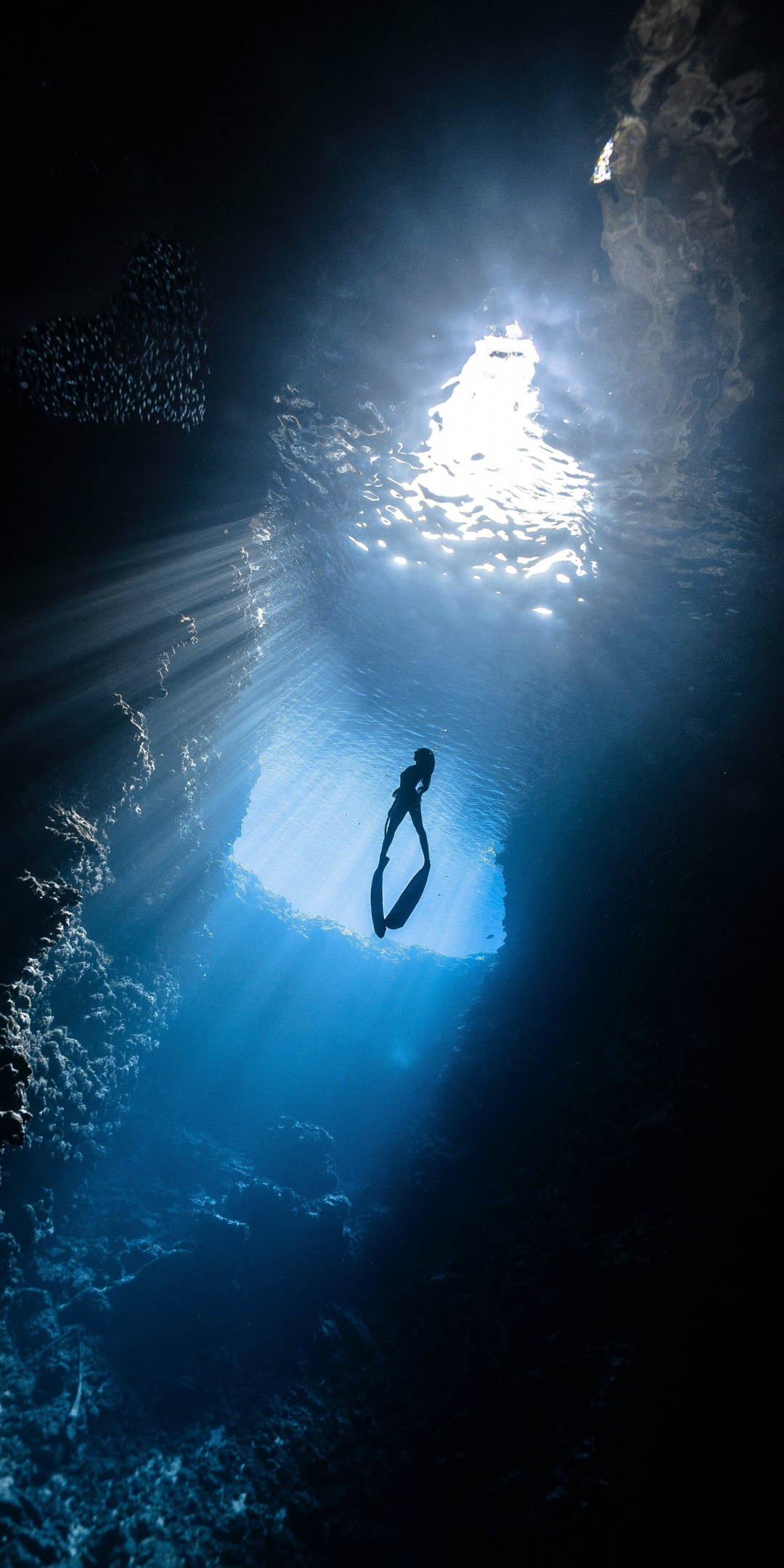 Scuba diver, under-water, silhouette, sea, 1080x2160 wallpaper