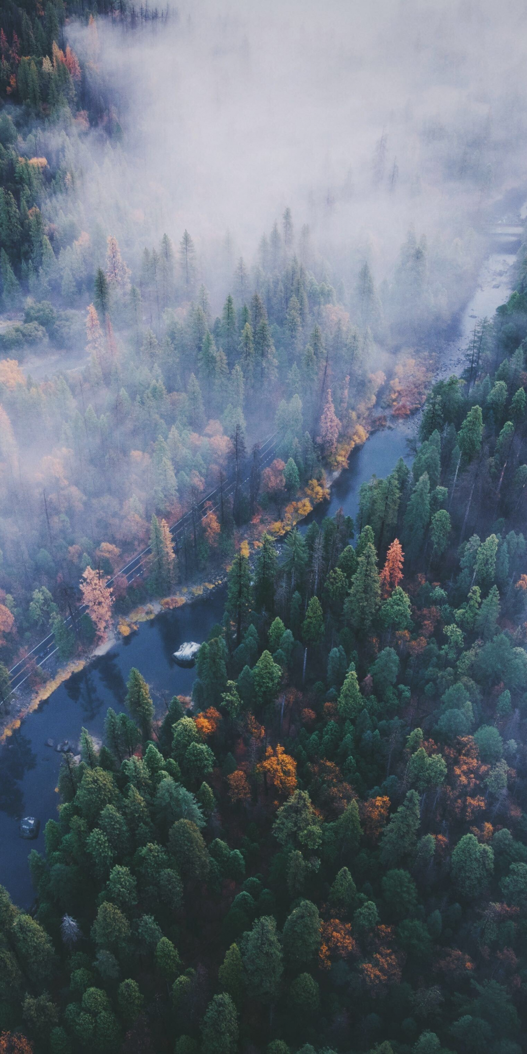 River, aerial view, forest, Yosemite valley, 1080x2160 wallpaper