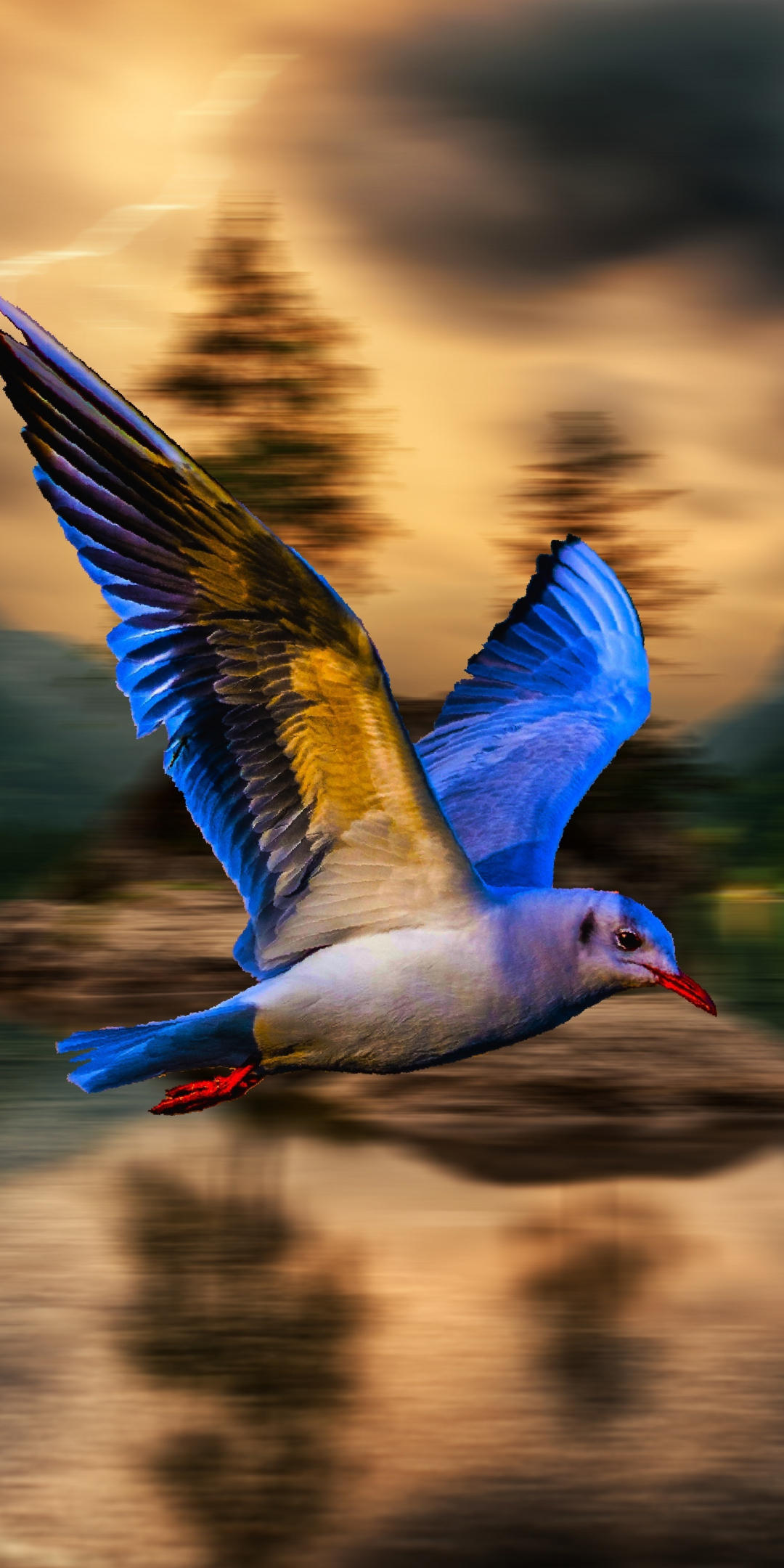 Blue bird, blur, flight, 1080x2160 wallpaper