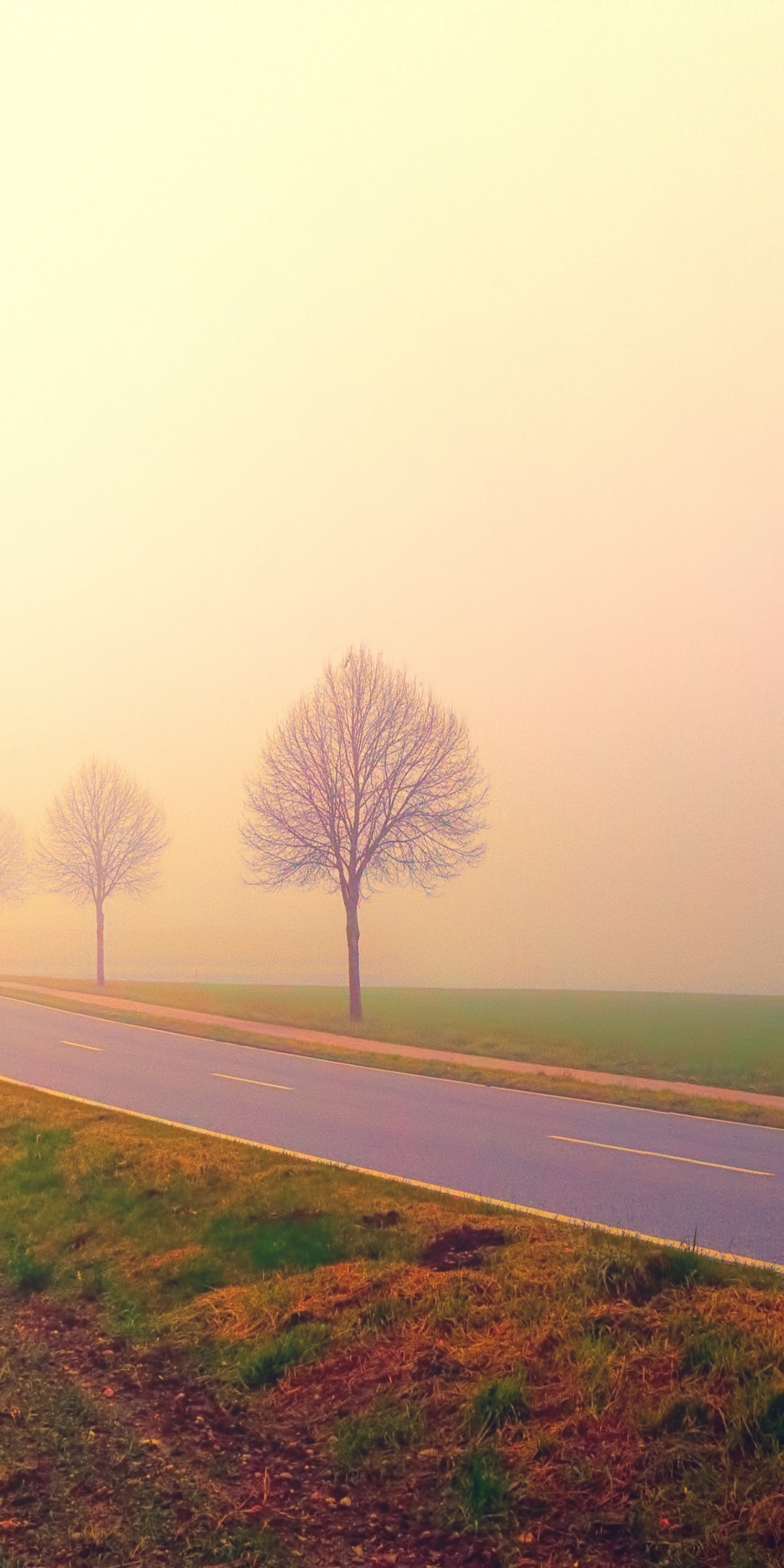Foggy day, dawn, sunrise, highway, road, landscape, 1080x2160 wallpaper