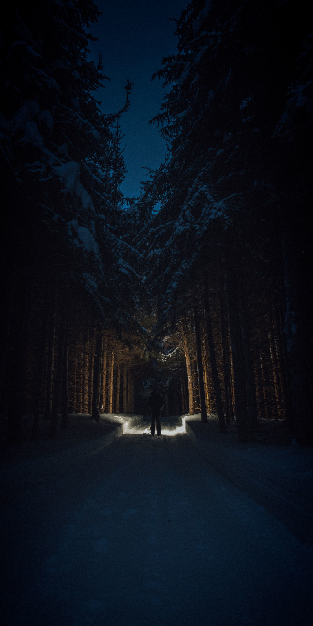 Man, dark, night out, trees, forest, 1080x2160 wallpaper