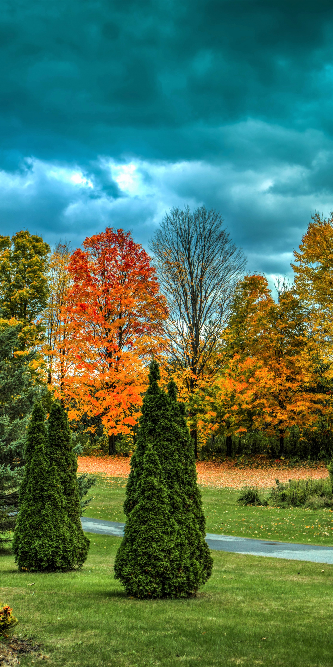 Autumn, garden, trees, 1080x2160 wallpaper