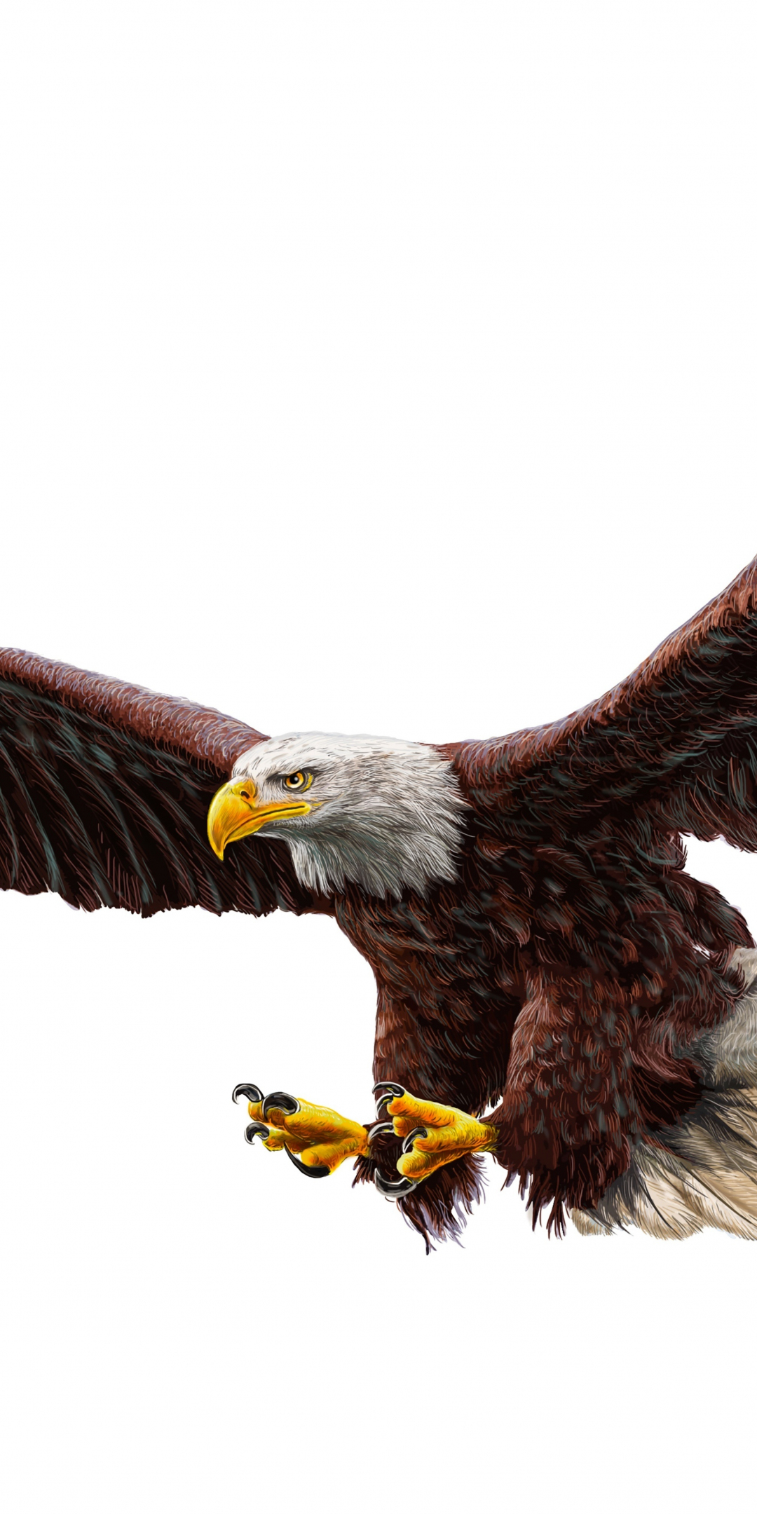 Bald eagle, bird predator, art, 1080x2160 wallpaper