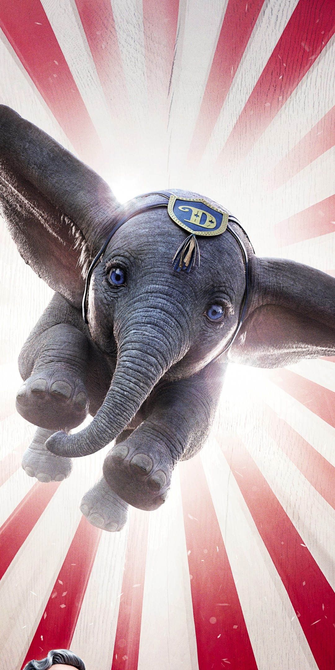 Dumbo, flying elephant, cute animal, poster, 1080x2160 wallpaper