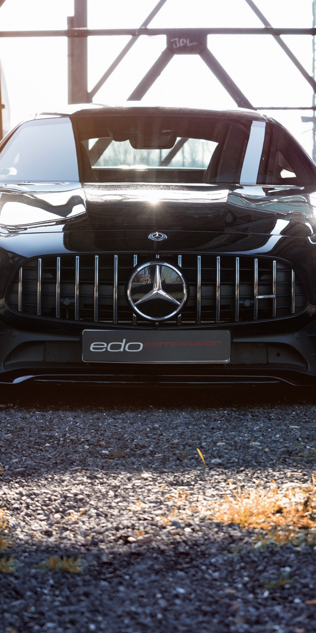 Edo Competition, Mercedes-AMG GT R, front, 1080x2160 wallpaper