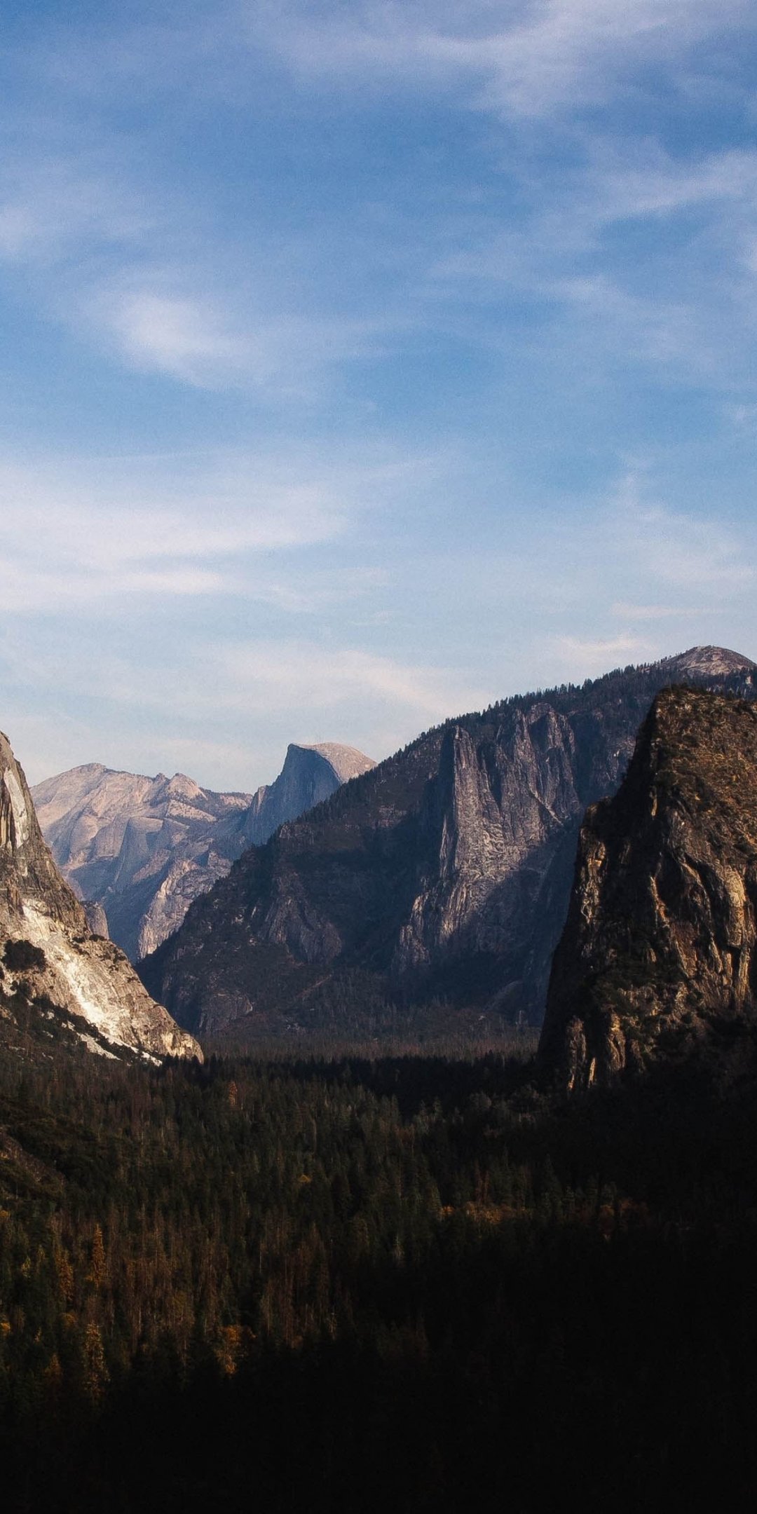 Yosemite, national park, mountains, trees, valley, forest, 1080x2160 wallpaper