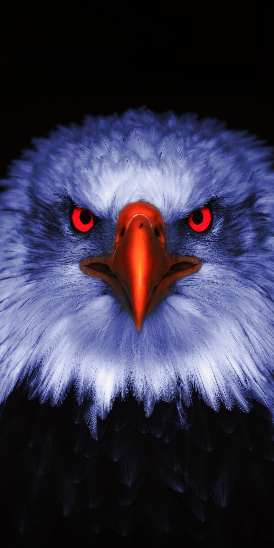 Eagle, Raptor, red eyes, close up, 1080x2160 wallpaper