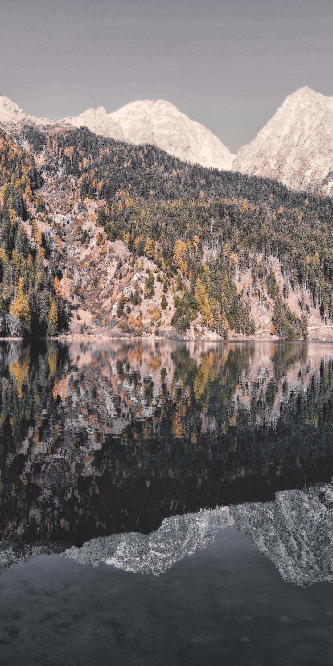 Nature, mountains, lake, trees, reflections, 1080x2160 wallpaper