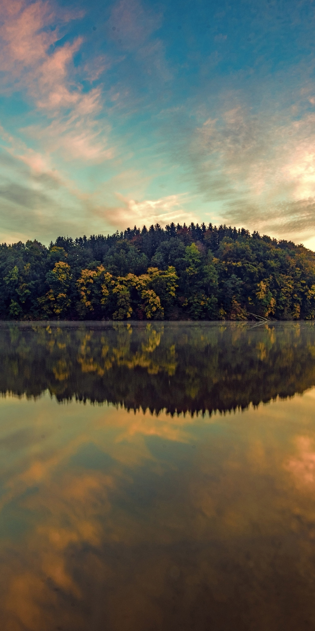 Trees, sky, lake, reflections, nature, 1080x2160 wallpaper