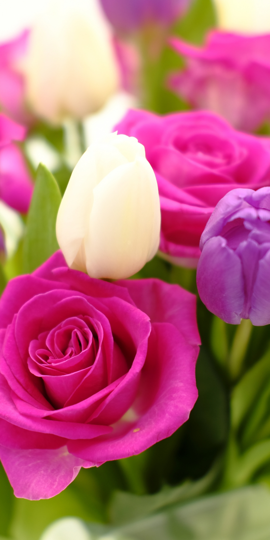 Bouquet, roses and tulips, flowers, 1080x2160 wallpaper