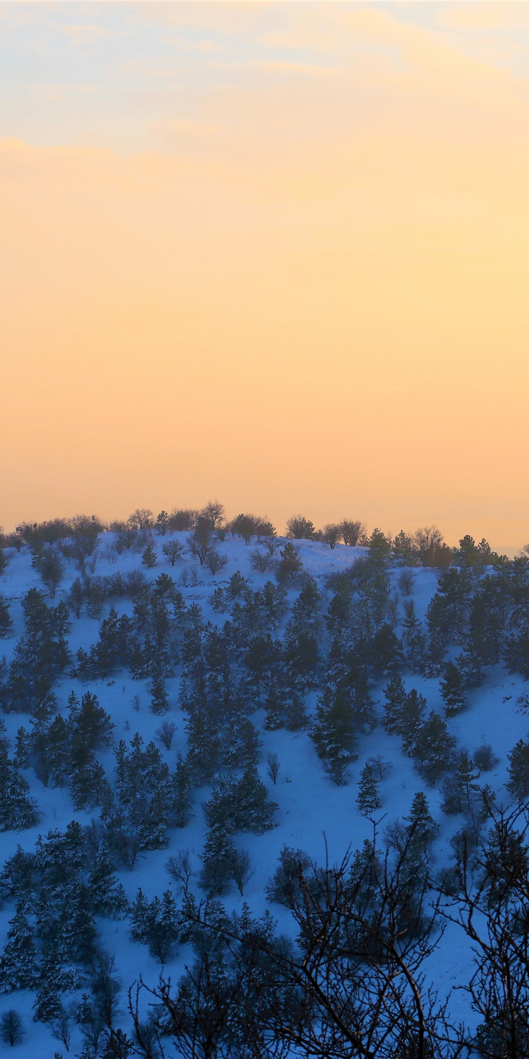 Winter, hilltop, sunset, nature, 1080x2160 wallpaper