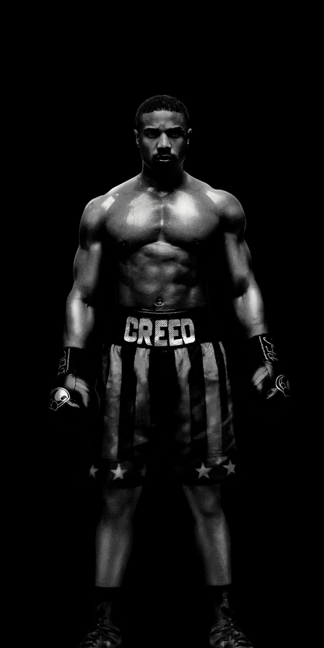 Creed II, Michael B. Jordan, action movie, poster, 2018, dark, 1080x2160 wallpaper