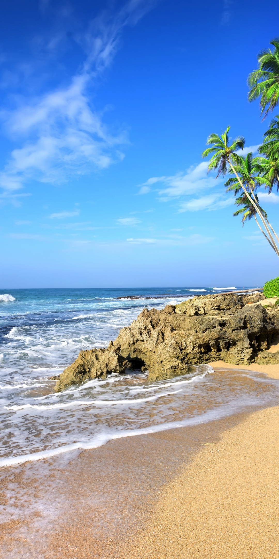 Beach, sea waves, tropical beach, palm tree, 1080x2160 wallpaper