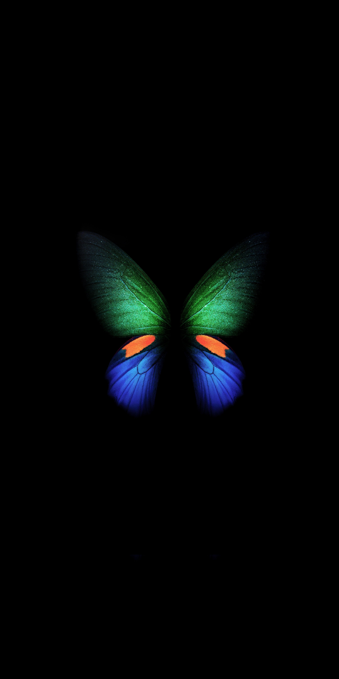 Samsung Galaxy Fold, green-blue butterfly, minimal, art, 1080x2160 wallpaper