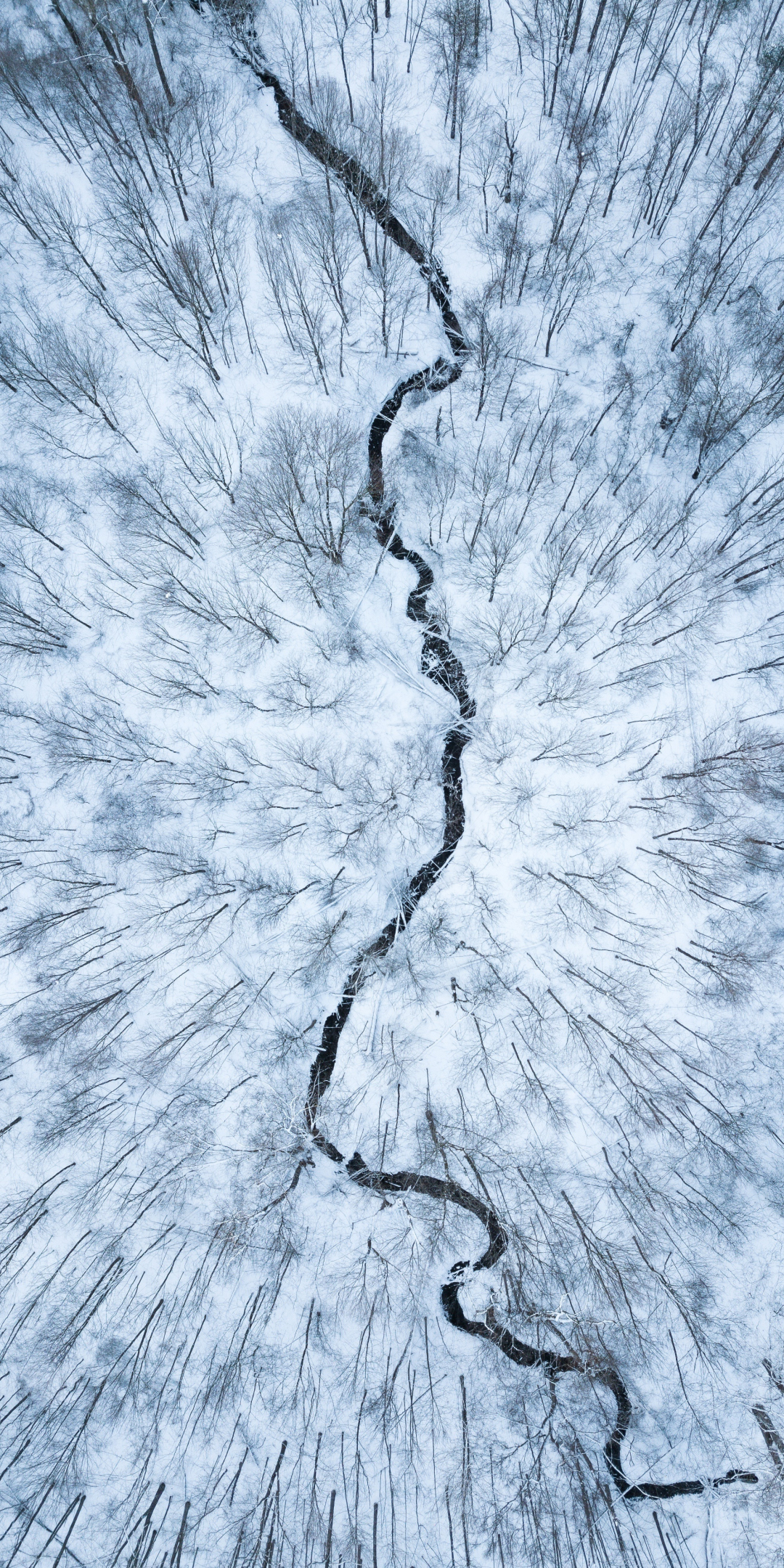 Aerial view, white forest, stream, winter, 1080x2160 wallpaper