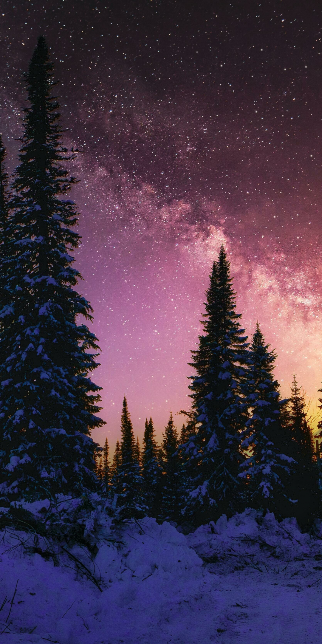 Winter, beautiful night, forest, galaxy, nature, 1080x2160 wallpaper