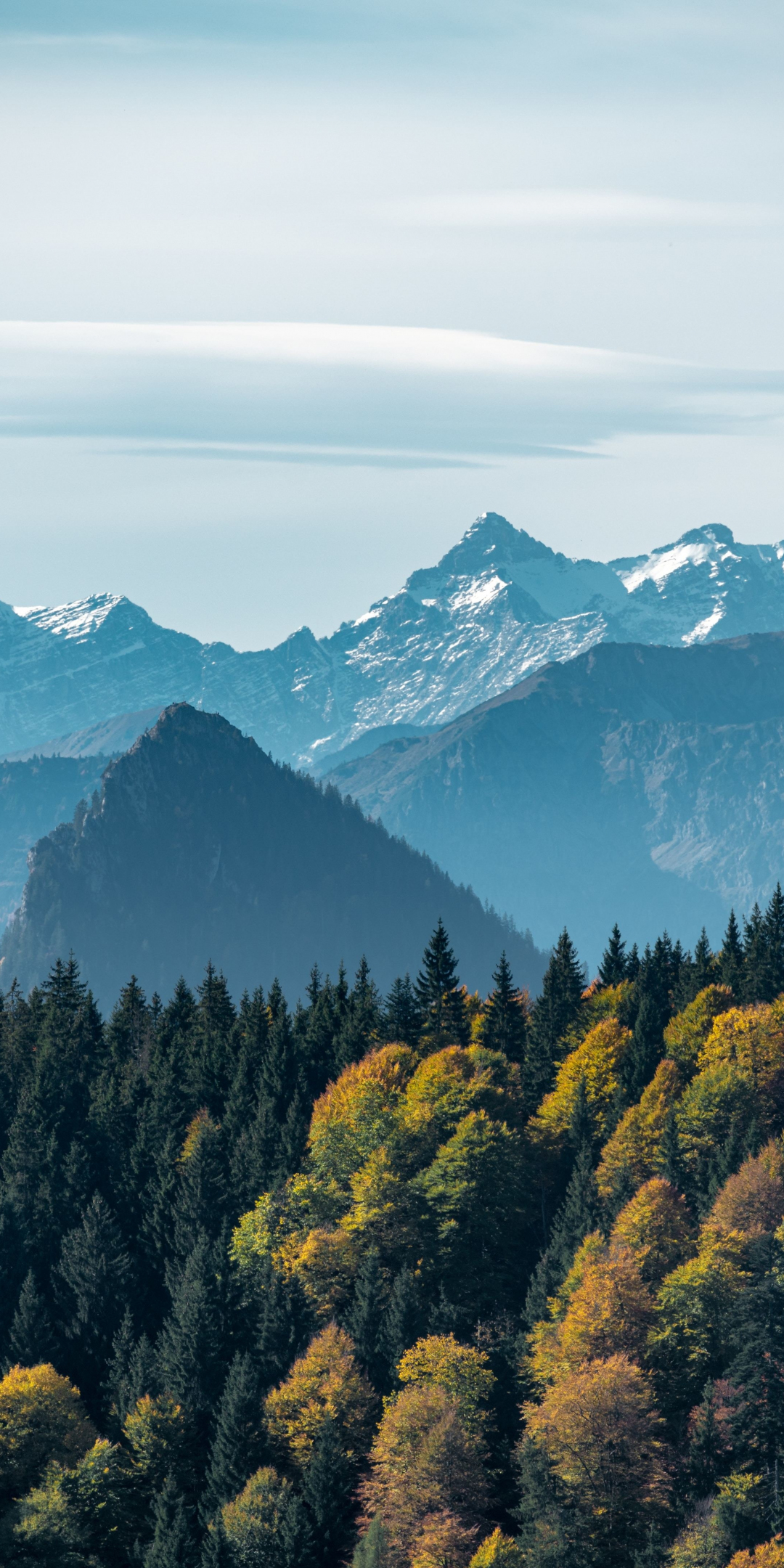 Adorable view, mountains and green trees, forest, 1080x2160 wallpaper