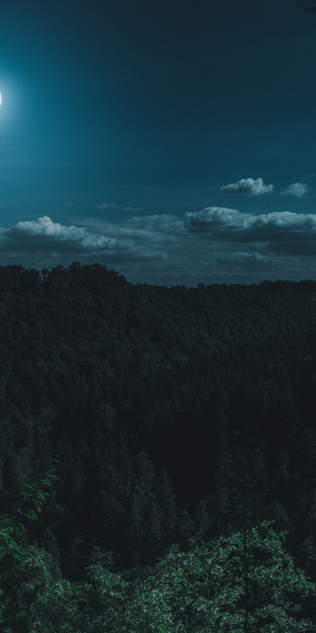 Green forest, trees, night moon, nature, 1080x2160 wallpaper