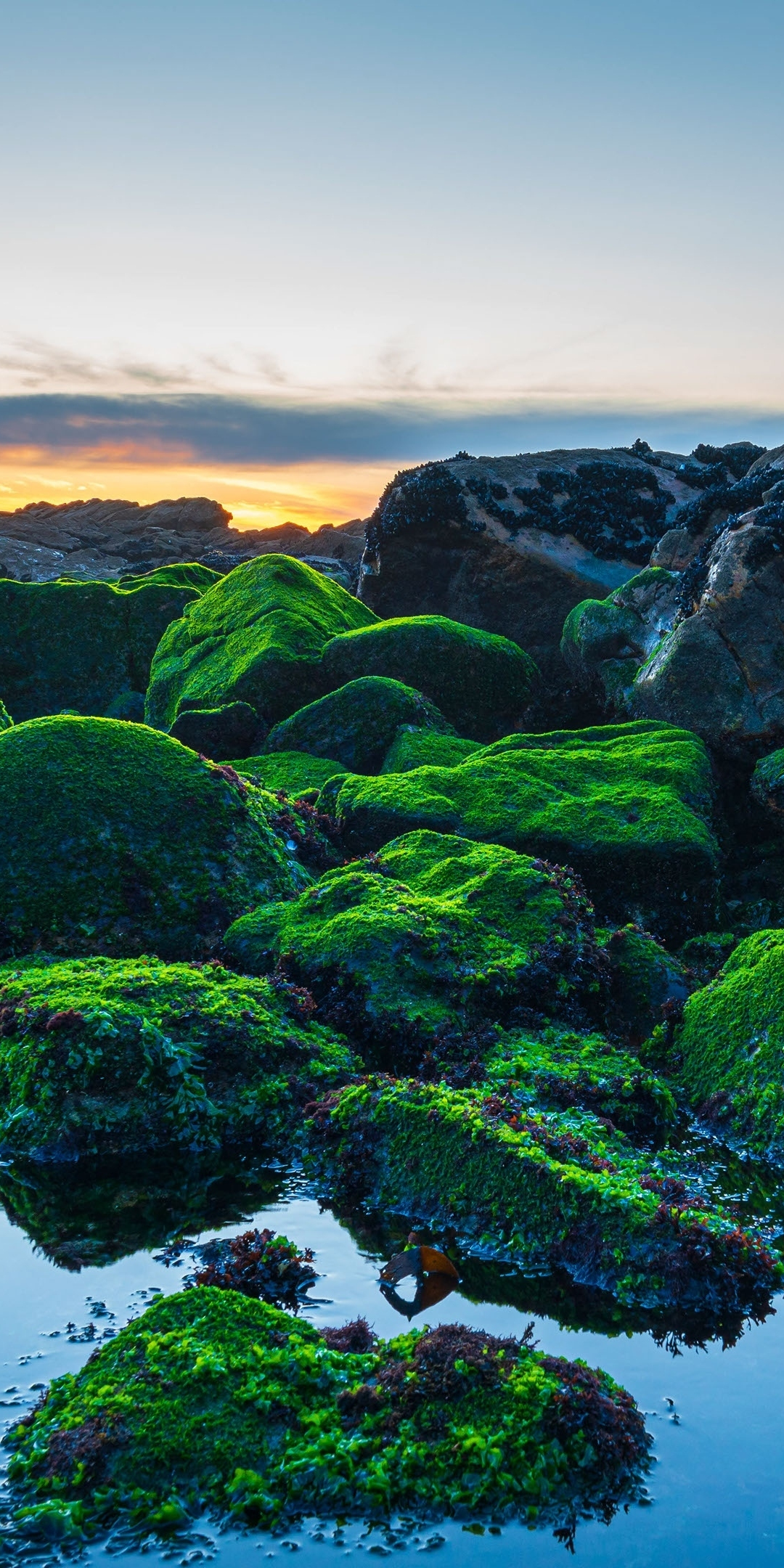 Coast, green rocks, sunset, nature, 1080x2160 wallpaper