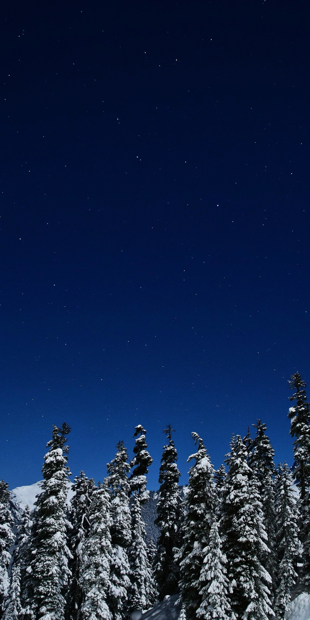 Blue sky, winter, night, nature, 1080x2160 wallpaper