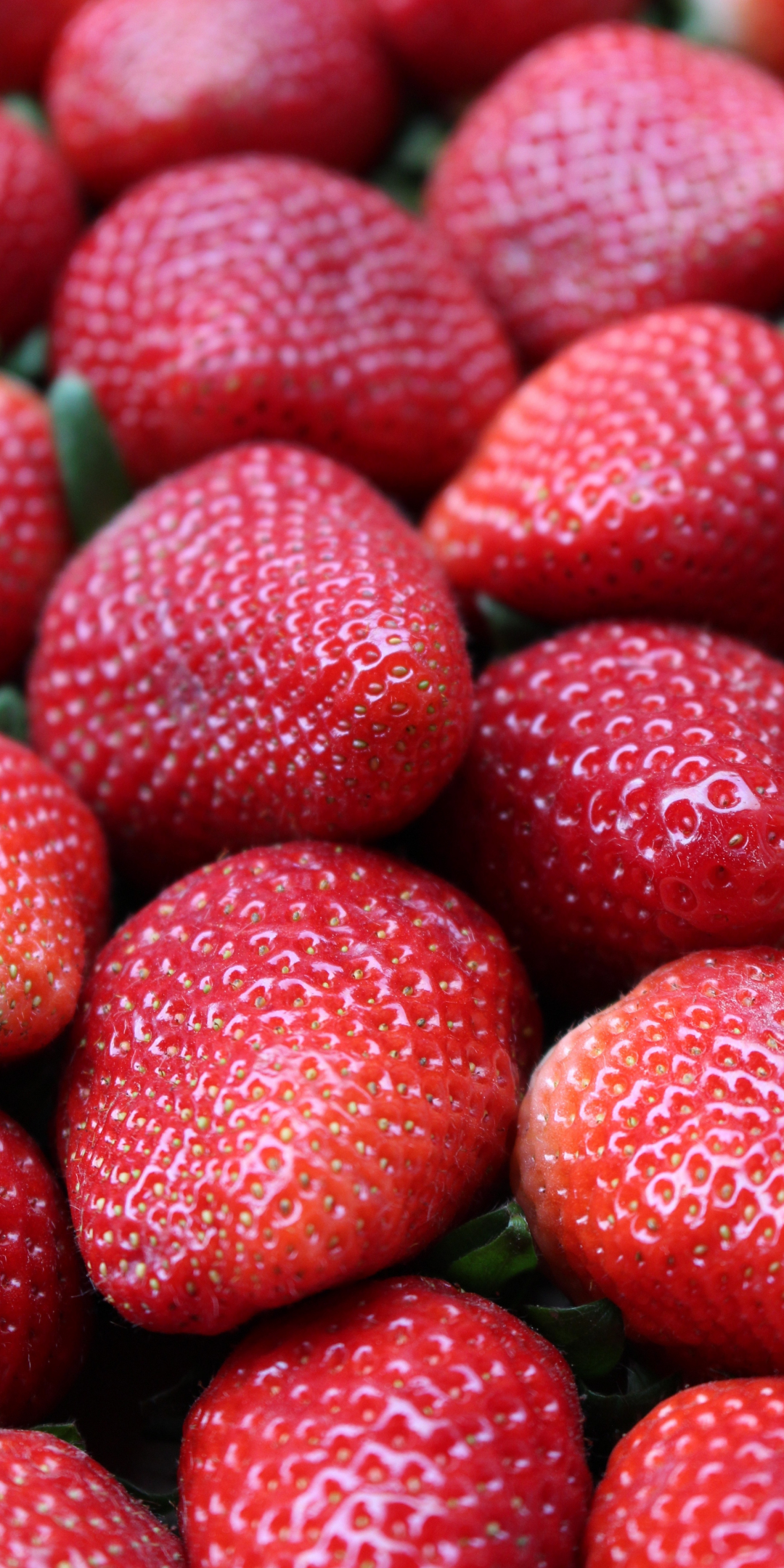 Red fruits, strawberries, close up, 1080x2160 wallpaper