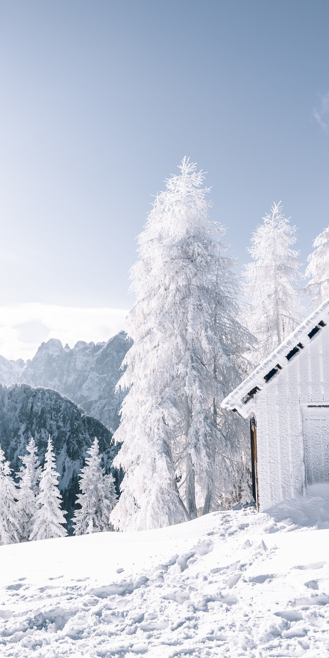 Winter, landscape, forest, white tree, snowfrost, hut, 1080x2160 wallpaper