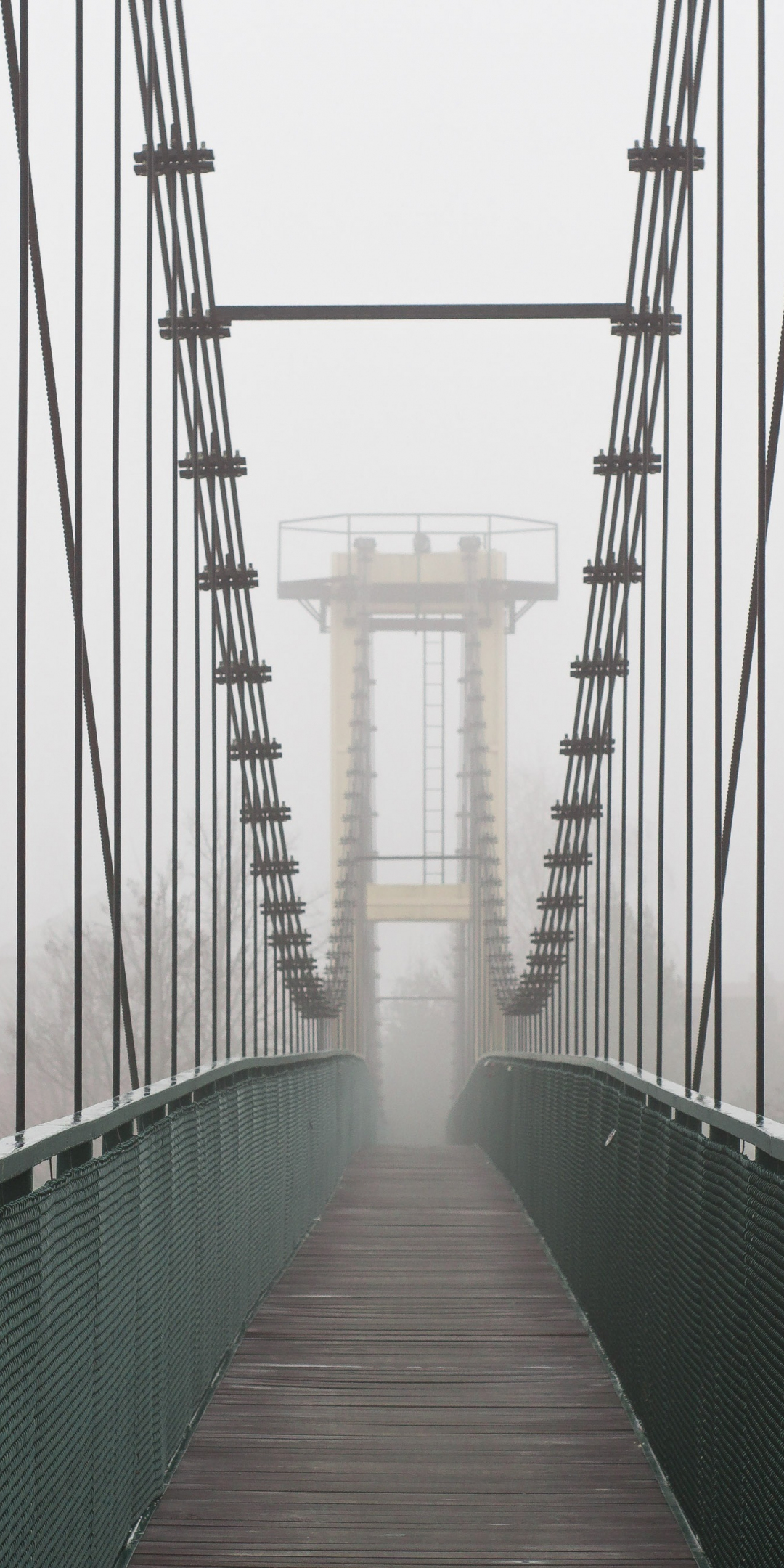 Suspension bridge, bridge, winter, foggy day, 1080x2160 wallpaper