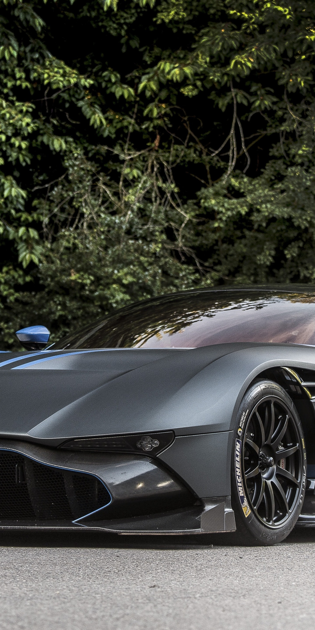 Aston Martin Vulcan, sprots car, front, gray, 1080x2160 wallpaper