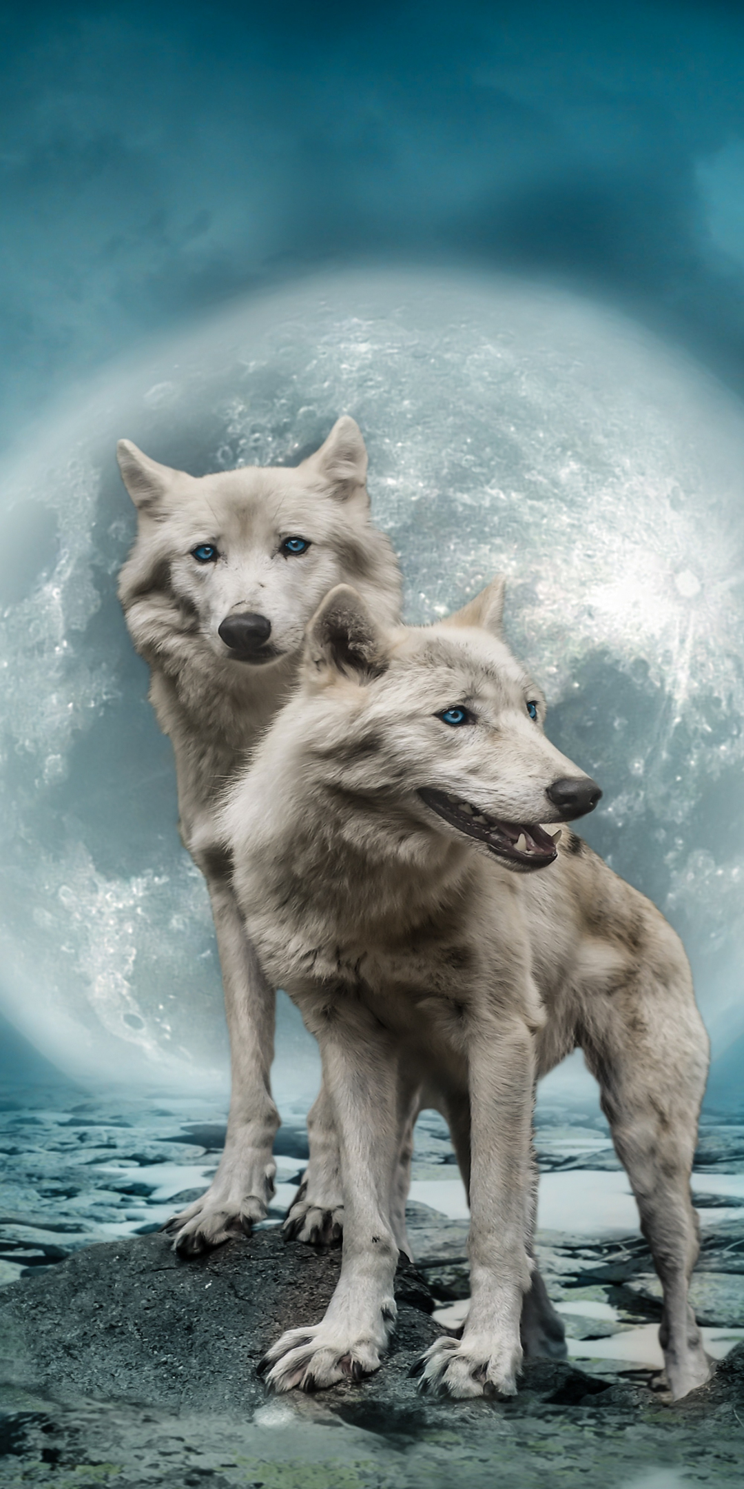 Predator, wolves, moon, art, 1080x2160 wallpaper