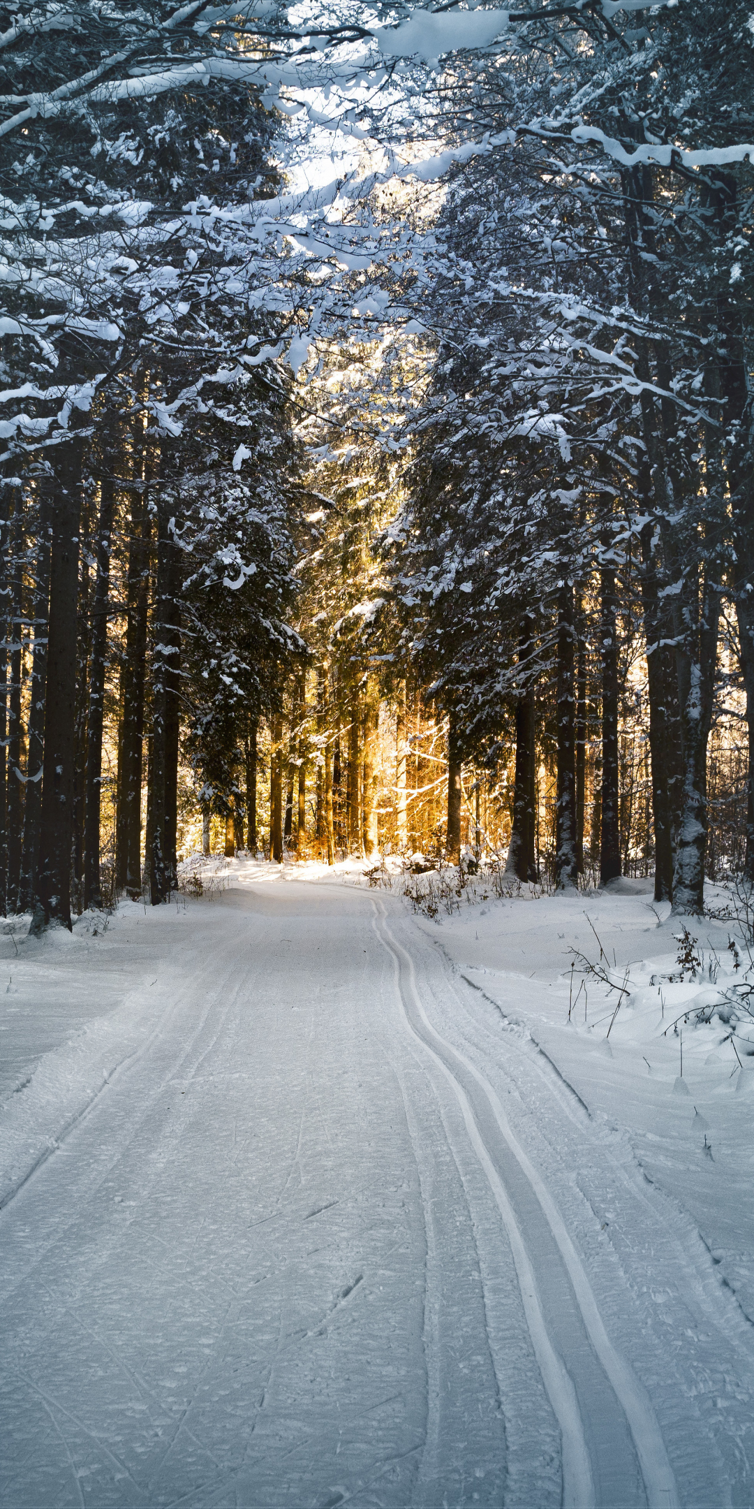 Winter, snow road, trees, nature, 1080x2160 wallpaper