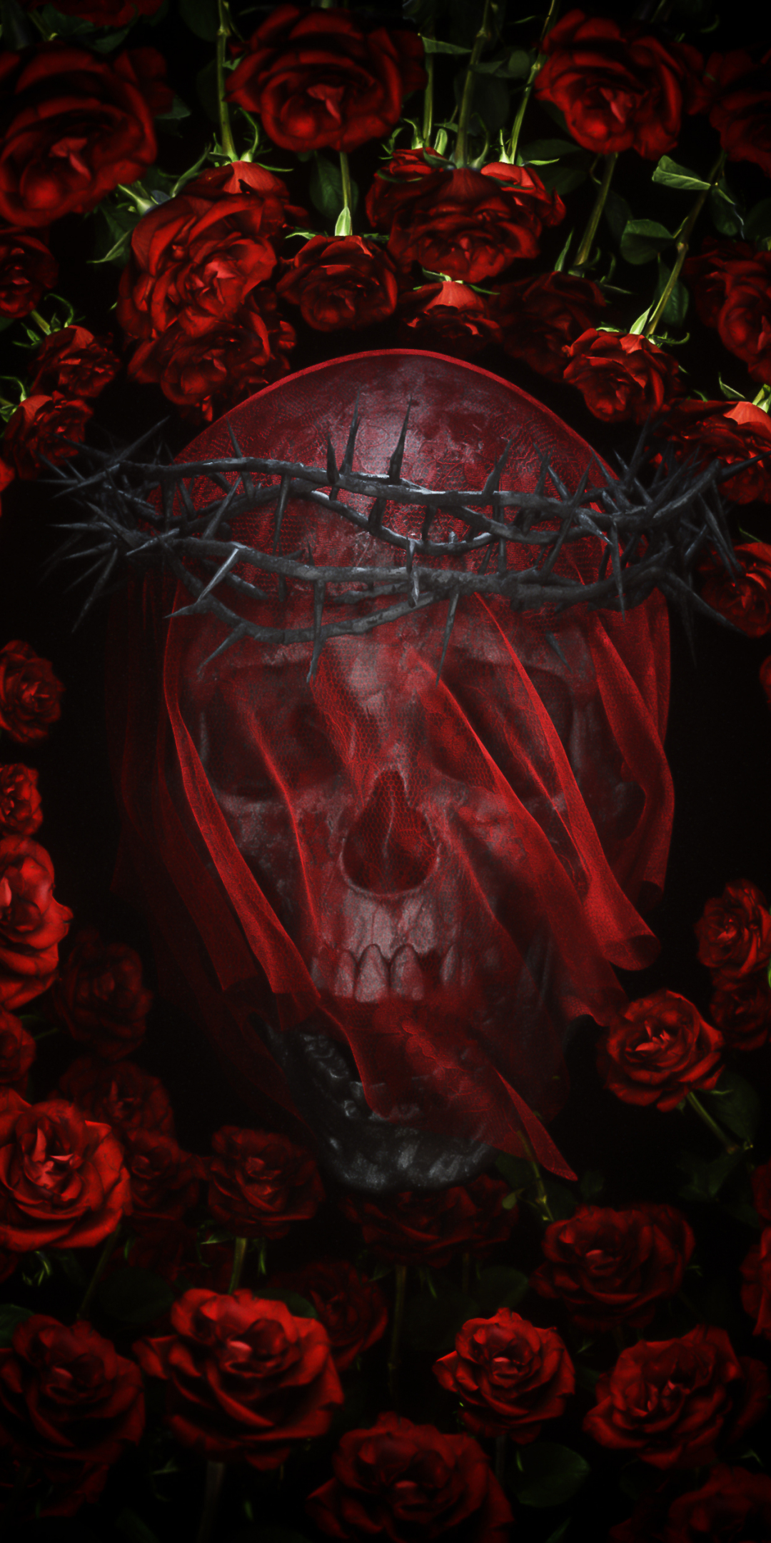 Skull and roses, artwork, 1080x2160 wallpaper