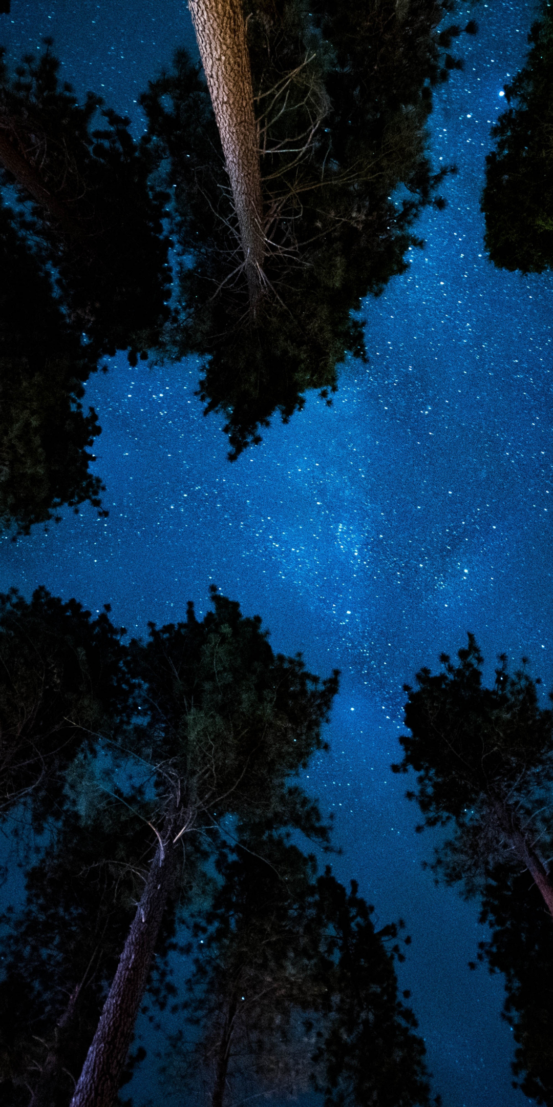 Starry night, nature, sky, trees, 1080x2160 wallpaper