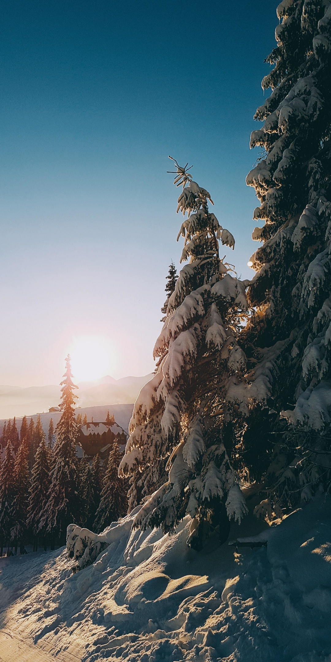 Sunrise, tree, winter, landscape, 1080x2160 wallpaper