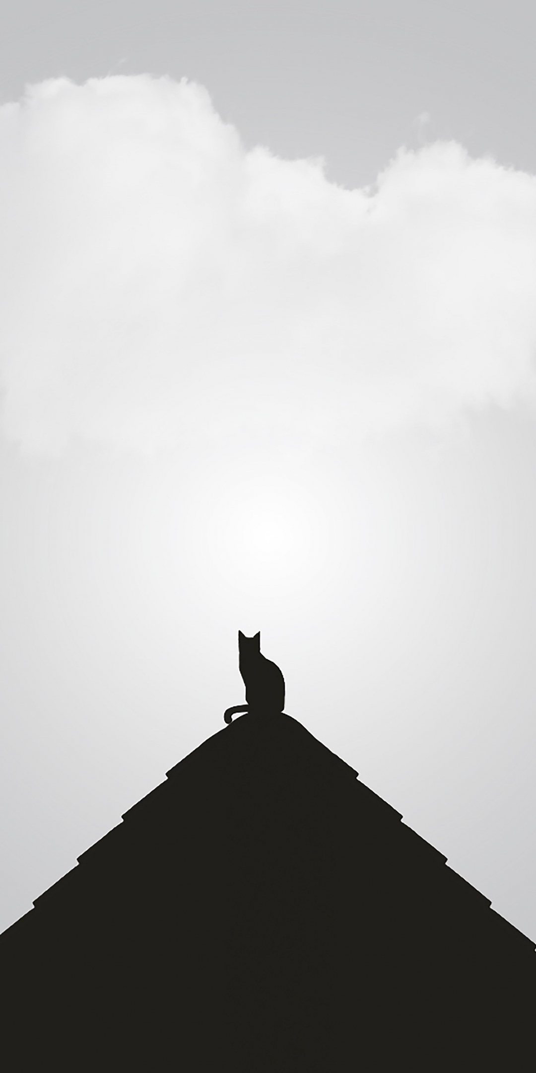 Silhouette, minimal, cat, rooftop, 1080x2160 wallpaper