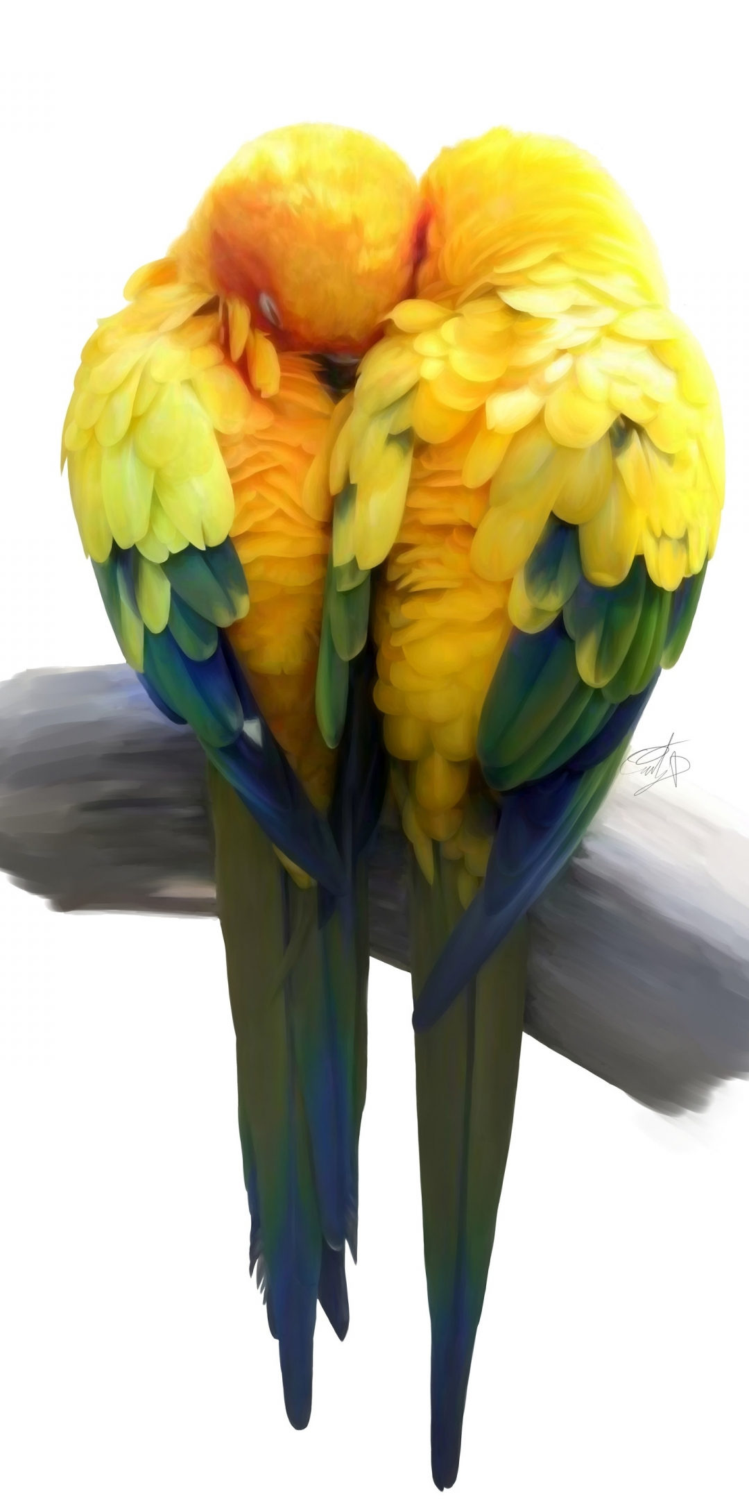 Birds, pair, love, minimal, artwork, parrot, 1080x2160 wallpaper