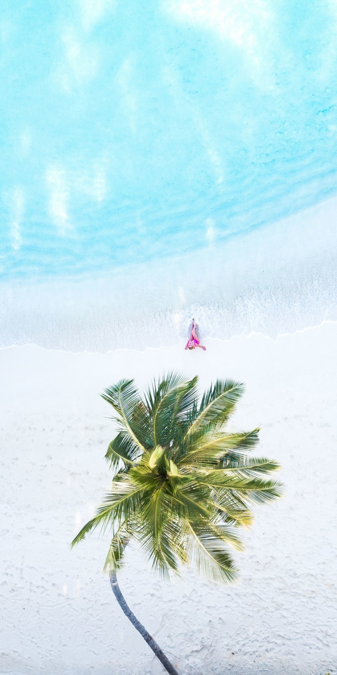 Palm tree, aerial view, beach, 1080x2160 wallpaper