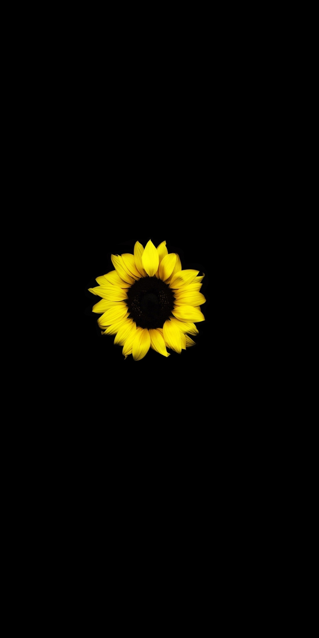 Sunflower, yellow, dark, 1080x2160 wallpaper