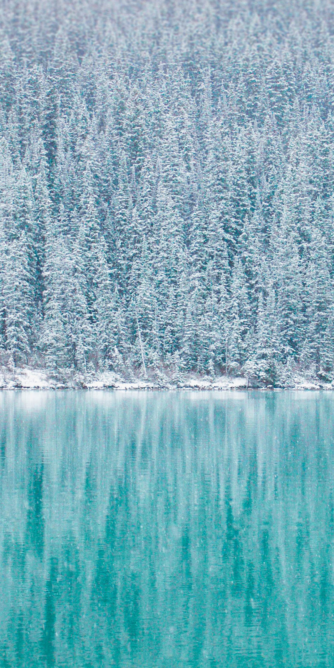 Pine trees, winter, reflections, blue lake, 1080x2160 wallpaper